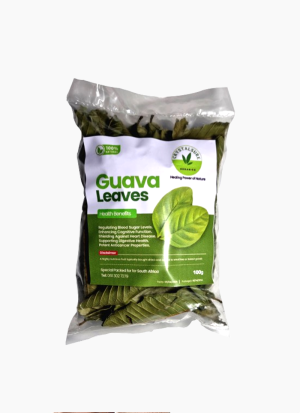 Guava Leaves