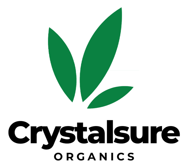 logo main